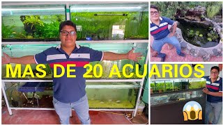 OSWALDO Y SU CASA CON ENORME ESTANQUE CASERO Y MAS DE 20 ACUARIOS