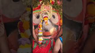 Jay Jagannath// rathyatra shorts youtubeshorts trendingshorts