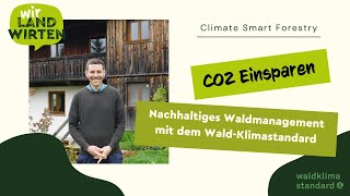 Co2 Einparung Im Privatwald Mit Dem Wald-Klimastandard