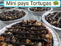 Pay Tortuga (mini)