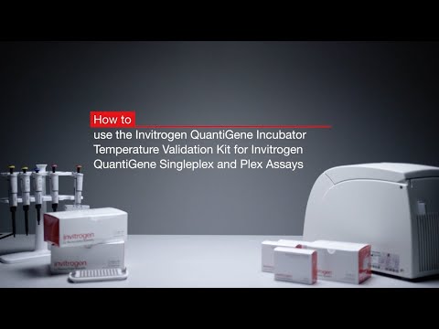 How to calibrate incubators for the Invitrogen™ QuantiGene™ Singleplex and Plex Assays