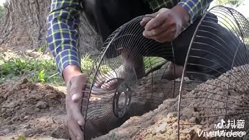Primitive Technology : DIY bird trap and rabbit trap 🐇