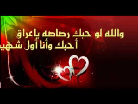 هيثم يوسف احبك ياوطن