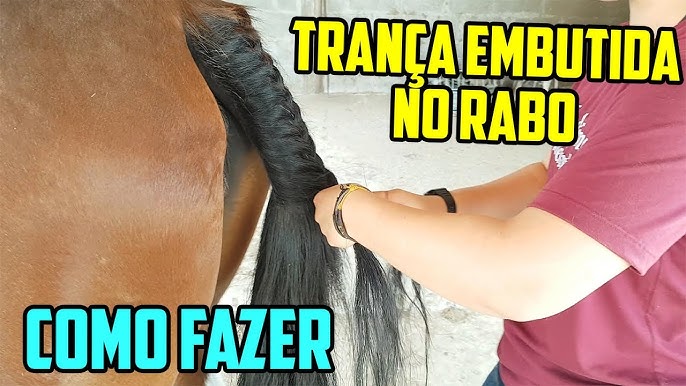 Selaria Guiricema - Traia Arrumada, Cavalo Lavado, Crina Trançada