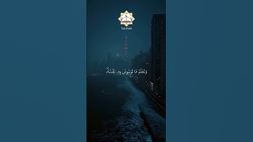 سورة ق القارئ محمد صديق المنشاوي القرآن الكريم