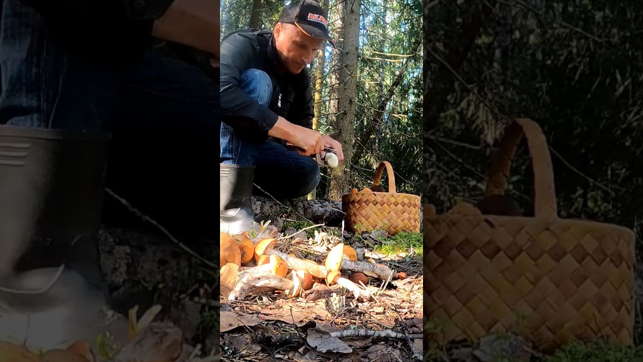 ГОРЕ ГРИБНИКИ! ВОЛОСЫ ДЫБОМ ОТ ТАКИХ НАХОДОК В ЛЕСУ 