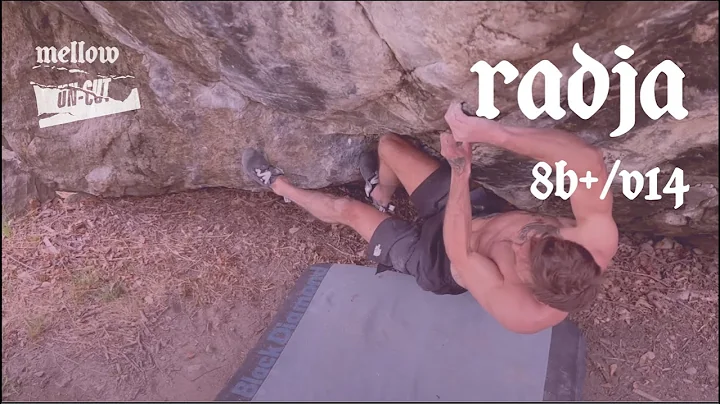 Daniel Woods:Radja (8B+/v14)