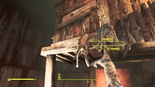 [Fallout 4] Cat Physics