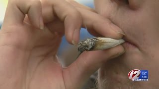 Recreational use of marijuana legal in Massachusetts