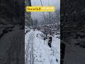 snowfall today ! snowfall live #snowfall #snow #manali #youtubeshorts #shorts