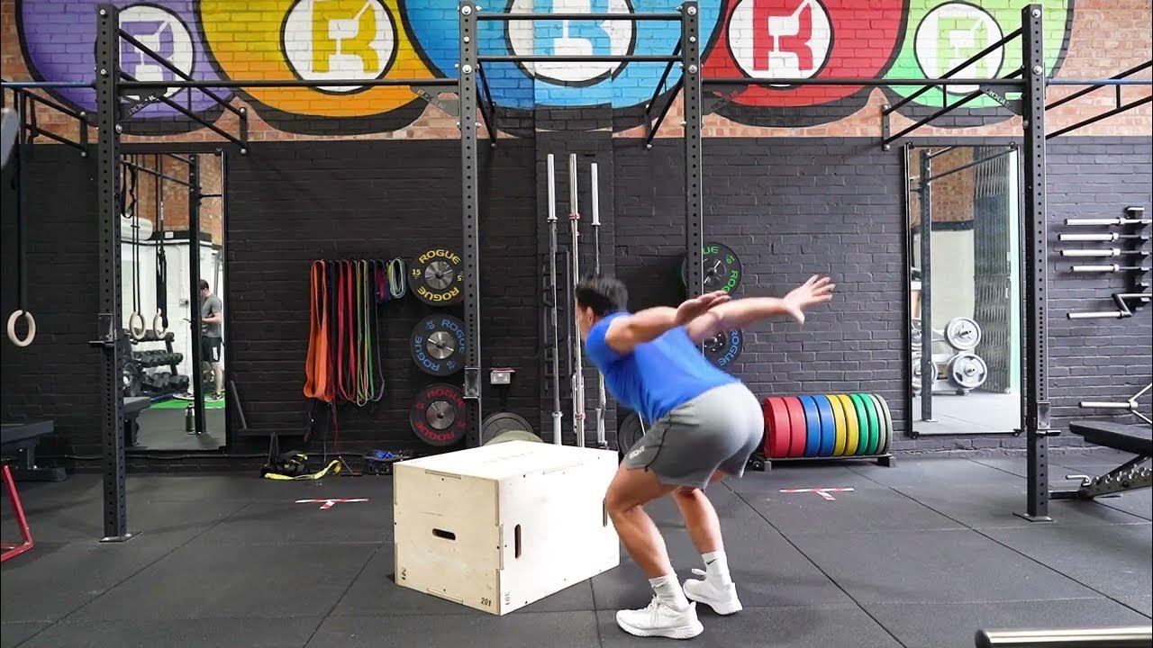 Box Jump Plyometric Strength and Conditioning Exercises YouTube
