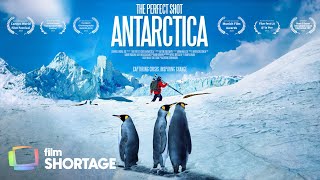 The Perfect Shot: Antarctica (Award-Winning Short Documentary)