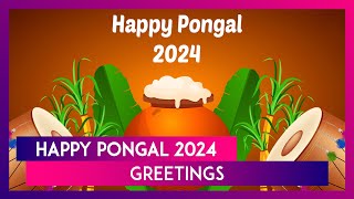 Happy Pongal 2024 Greetings: Wishes, Quotes, Images and WhatsApp Messages To Share With Loved Ones screenshot 4
