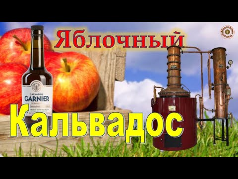 Video: Pukulan Apel Dengan Calvados