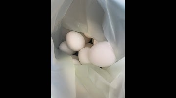 Making Egg 🥚Salad inspired by @TornadoGarden 