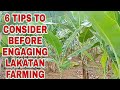 6 tips to consider before engaging lakatan farming agri and adventures