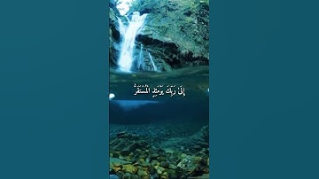 واتس اب قران كريم القارئ إدريس أبكر من سورة (القيامة)