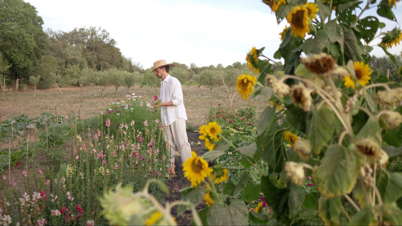 Flor: From Seed to Bloom