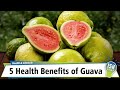 5 Health Benefits of Guava
