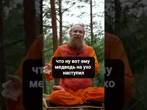 Сестра – молодец, а тебе медведь на ухо наступил