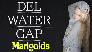 Del Water Gap - Marigolds 