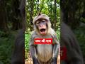 kar do Bhai log#aishorts #aistory #aicontentcreator