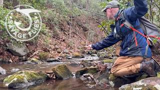 Fly Fishing Hazel River Falls - Shenandoah National Park