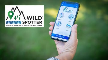 Report Invasive Species with the Wild Spotter App