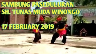 SH WINONGO Pencak Seni Paseduluran Ganda oleh adik adik seperguruan PSHW 17 February 2019