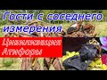 Гости с соседнего измерения. Мумии эльфов в храме Тайланда...