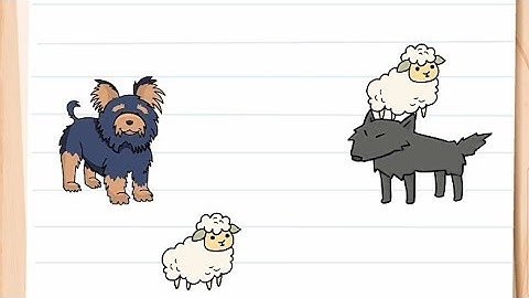 Brain Test All Star: IQ Boost – Level 135 Walkthrough