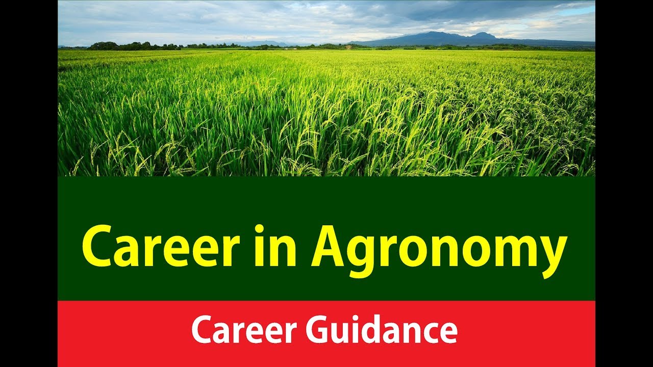 Career in Agronomy YouTube