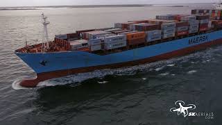 With a little luck we filmed dolphins in front of the Maersk Wellington cargo ship.