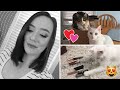 My Cats Pick My Makeup! | Colorful Outcome!