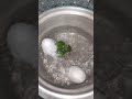 egg vlog 101 #shortsvideo  #food  #video  #shotrs