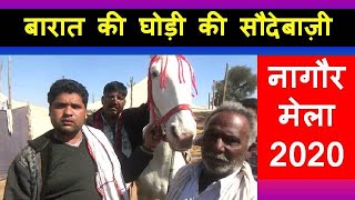 नागौर मेला 2020 शादी की घोड़ी की सौदेबाजी - Nagaur Horse Market Deal Of Nukra Mare - नागौर घोड़ा मंडी