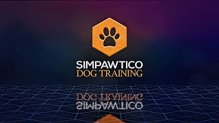 See what Simpawtico's All About - Dog Training Videos! by Simpawtico Dog Training 27,971 views 3 years ago 1 minute, 16 seconds