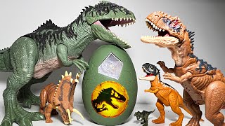 30 Dinosaurs of Jurassic World Dominion & Jurassic World Giganotosaurus, Rajasaurus, Quetzalcoatlus