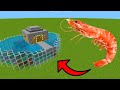 How To LIVE INSIDE a SHRIMP FARM in Minecraft PE