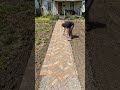 From Cracked Concrete To A Path Out Of A Fairytale