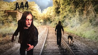 Live Q&A Film Update The Vegan Zombie