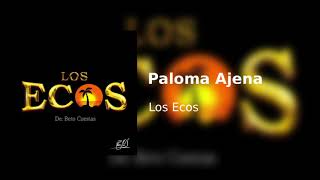 Los Ecos - Paloma Ajena