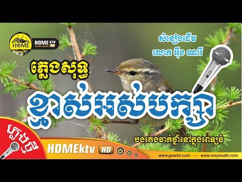 ខ្មាស់អស់បក្សា ភ្លេងសុទ្ធ បងគេងចាក់ថ្នាំនៅក្នុងពេទ្យធំ [ Cover Music ]