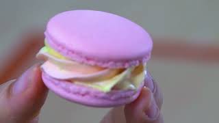 Masterclass Apprendre les macarons en 5 jours