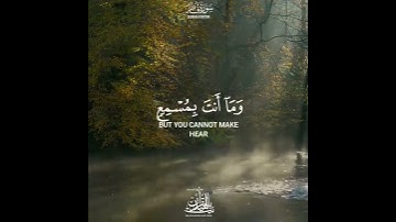 وَ ما يَستَوِي الأَعمى وَ البَصيرُ (١٩) وَ لَا الظُّلُماتُ وَ لَا النّورُ _ من سورة فاطر