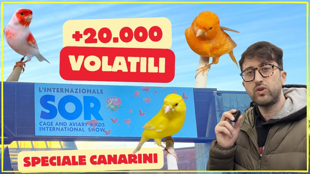 Cosa ho visto al Bird Show più grande del mondo | SOR 2024 Modena Fiere (ITA + ESP)