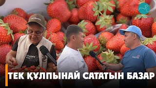 Сарыағаш ауданында тек құлпынай сататын базар бар