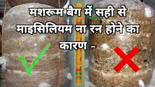 मशरूम बैग में माइसीलियम सही तरीके से रन ना होने के कारण #mushroom bag mycelium Run problem&salution