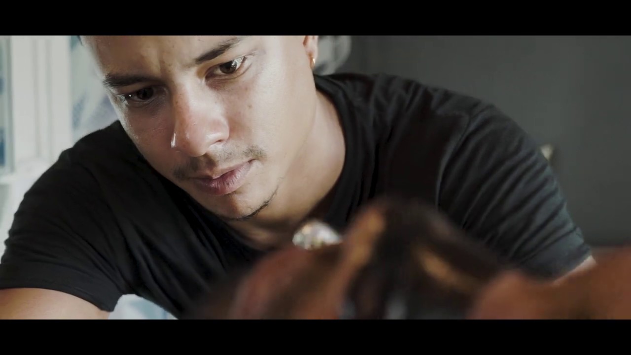 Barbershop 974 La Barbe du Roi - YouTube