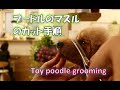 プードルのマズルのカット手順。 轟遼佳 長野市 トリミングサロン ファーモ